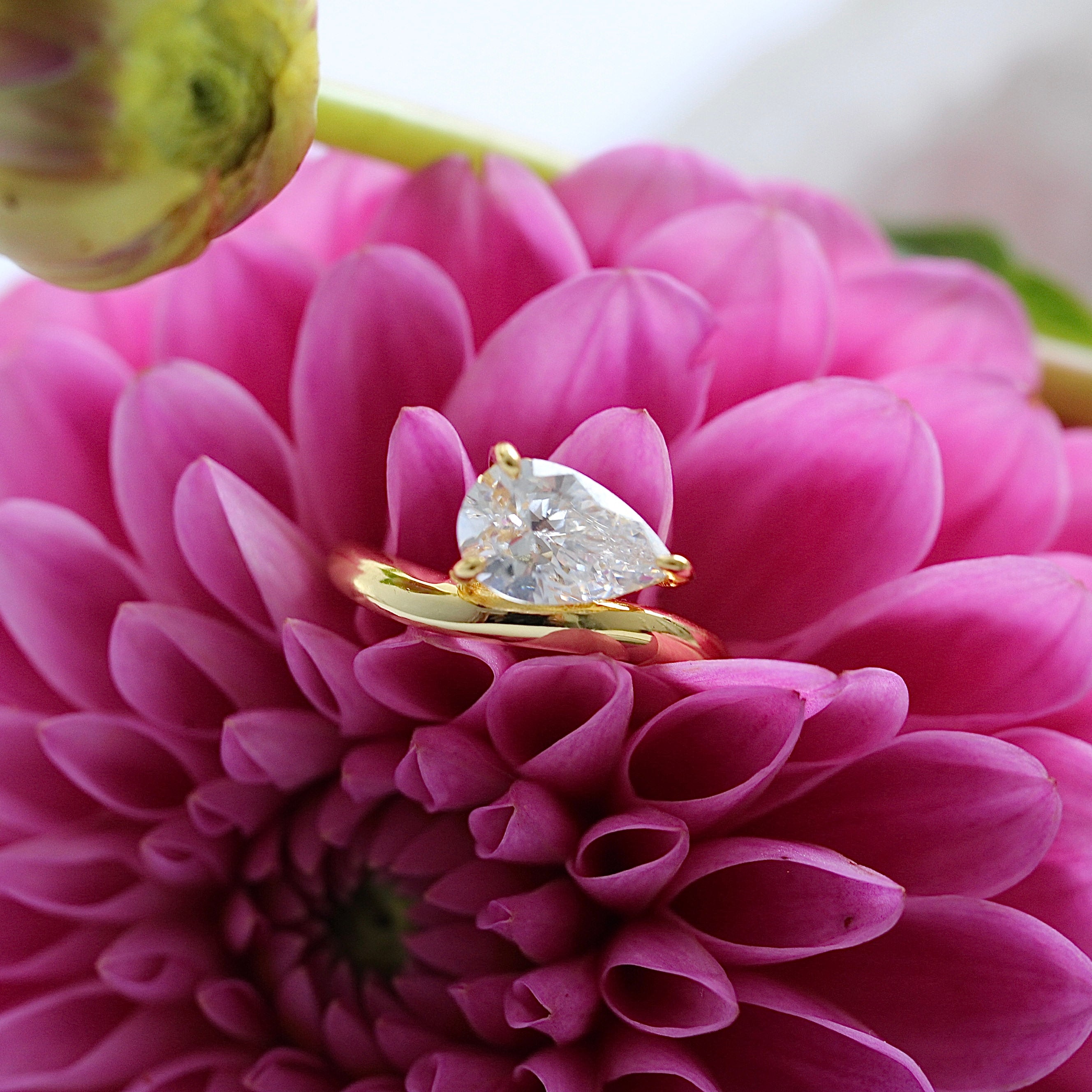 Base ~ Ains Ring - Moissanite- Ready to Ship