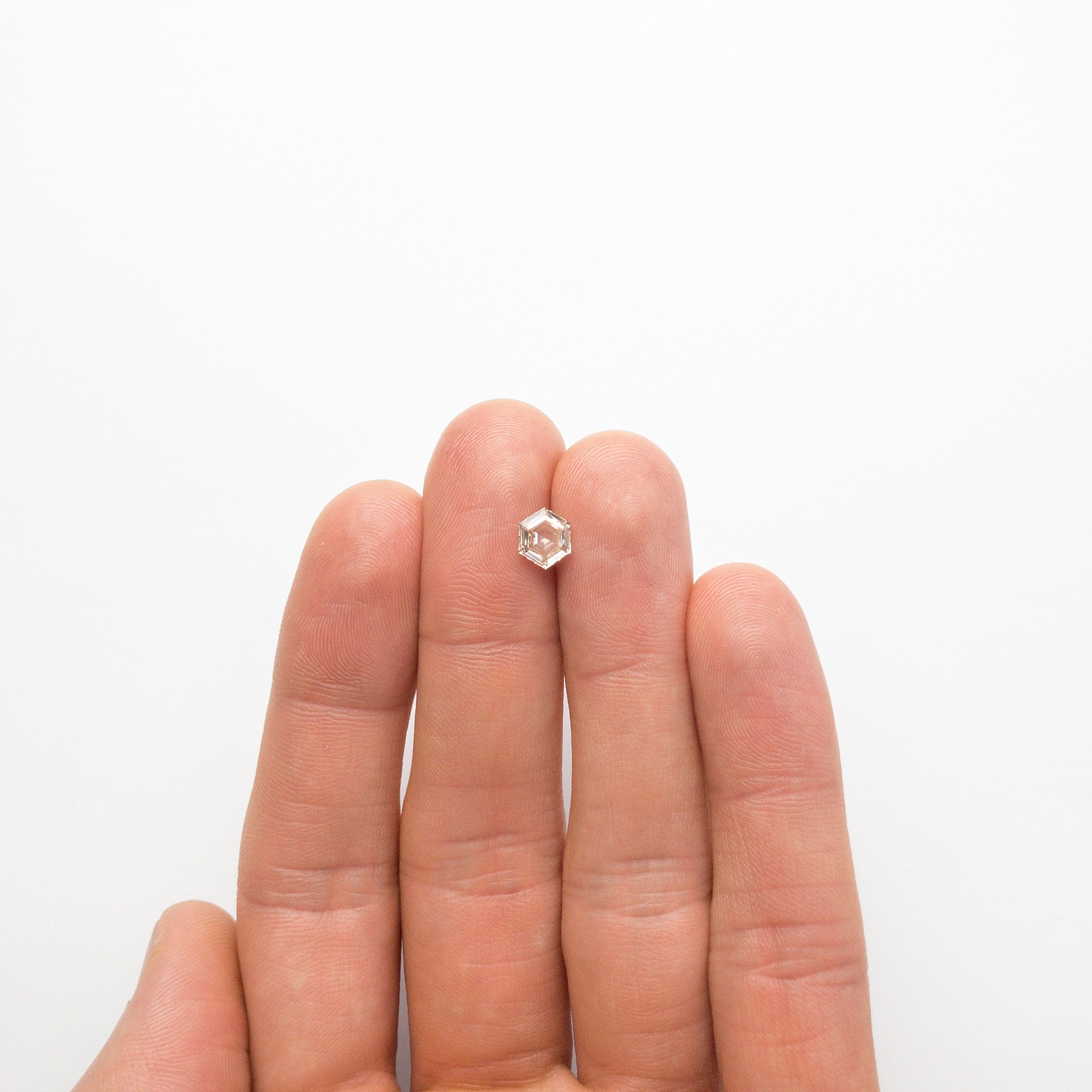 1.00ct 7.12x5.92x3.00mm Hexagon Rosecut 18804-03