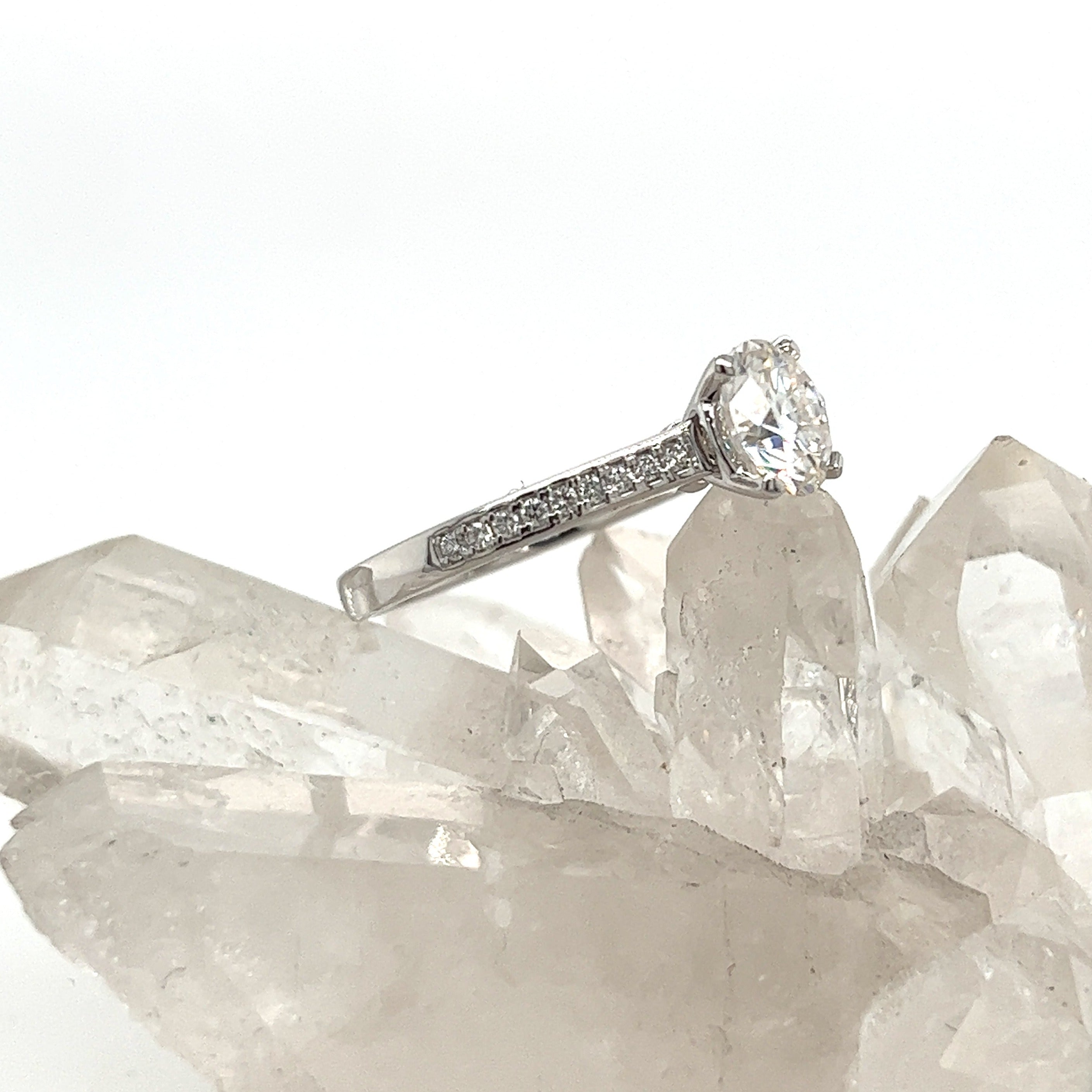 Ara Solitaire - White Gold - Ready to Ship