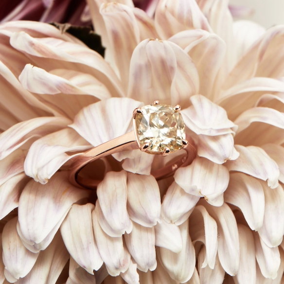 Floating Solitaire Series - Cushion Cut