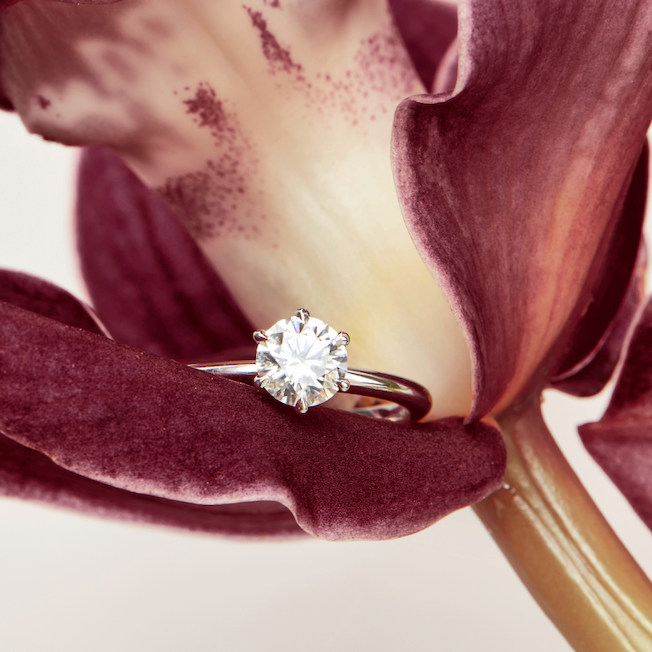 Dream Solitaire - Moissanite - White Gold - Ready to Ship