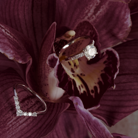 Windfall Jewellery Ara Solitaire diamond engagement ring with matching contoured wedding bands in white gold — elegant bridal set handcrafted in Australia