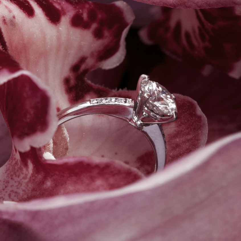 Windfall Jewellery Ara Solitaire diamond engagement ring with matching contoured wedding bands in white gold — elegant bridal set handcrafted in Australia