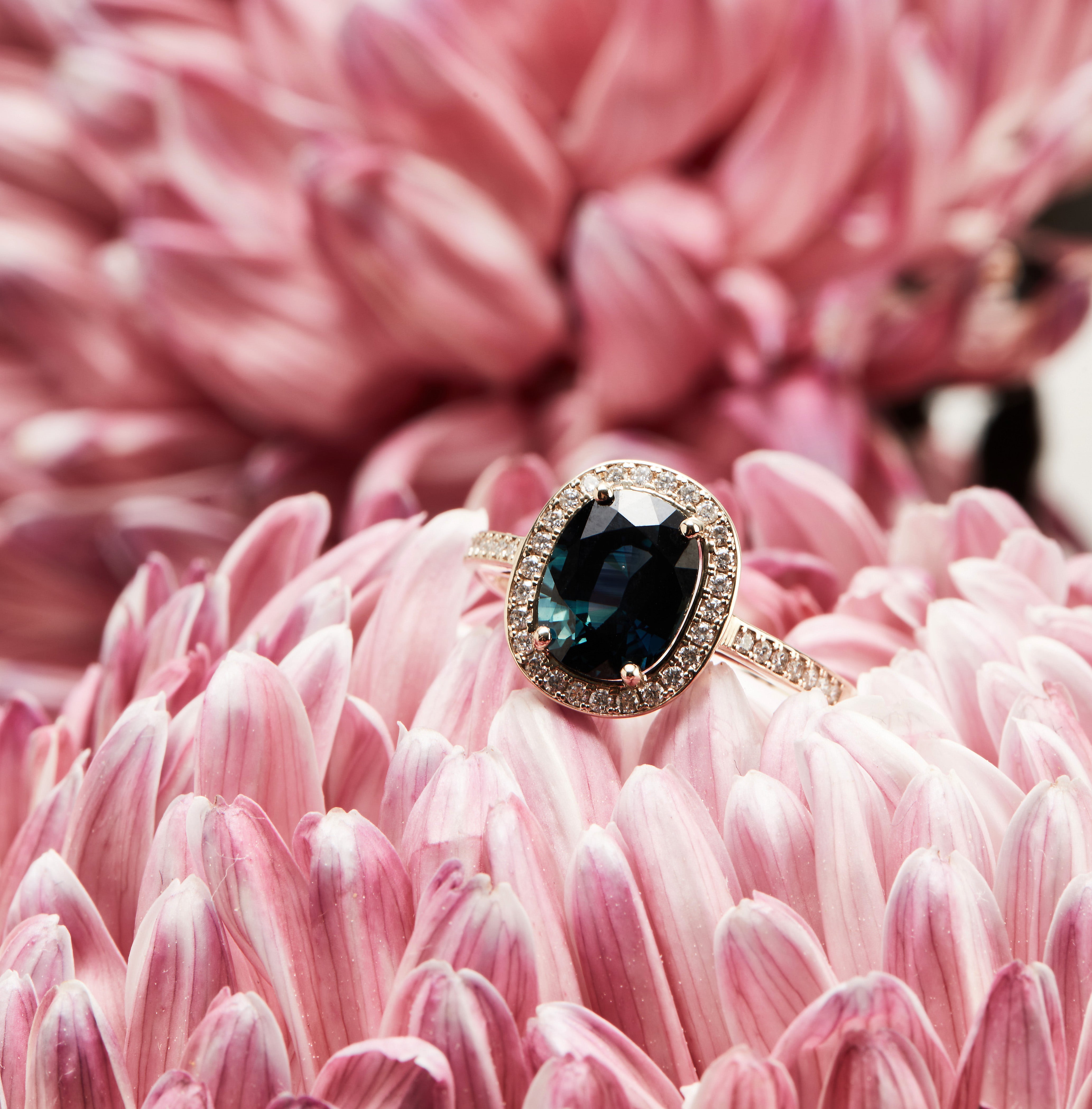 Windfall Jewellery oval halo engagement ring with morganite center stone and sapphirehalo set in white gold — elegant and timeless bridal jewellery.