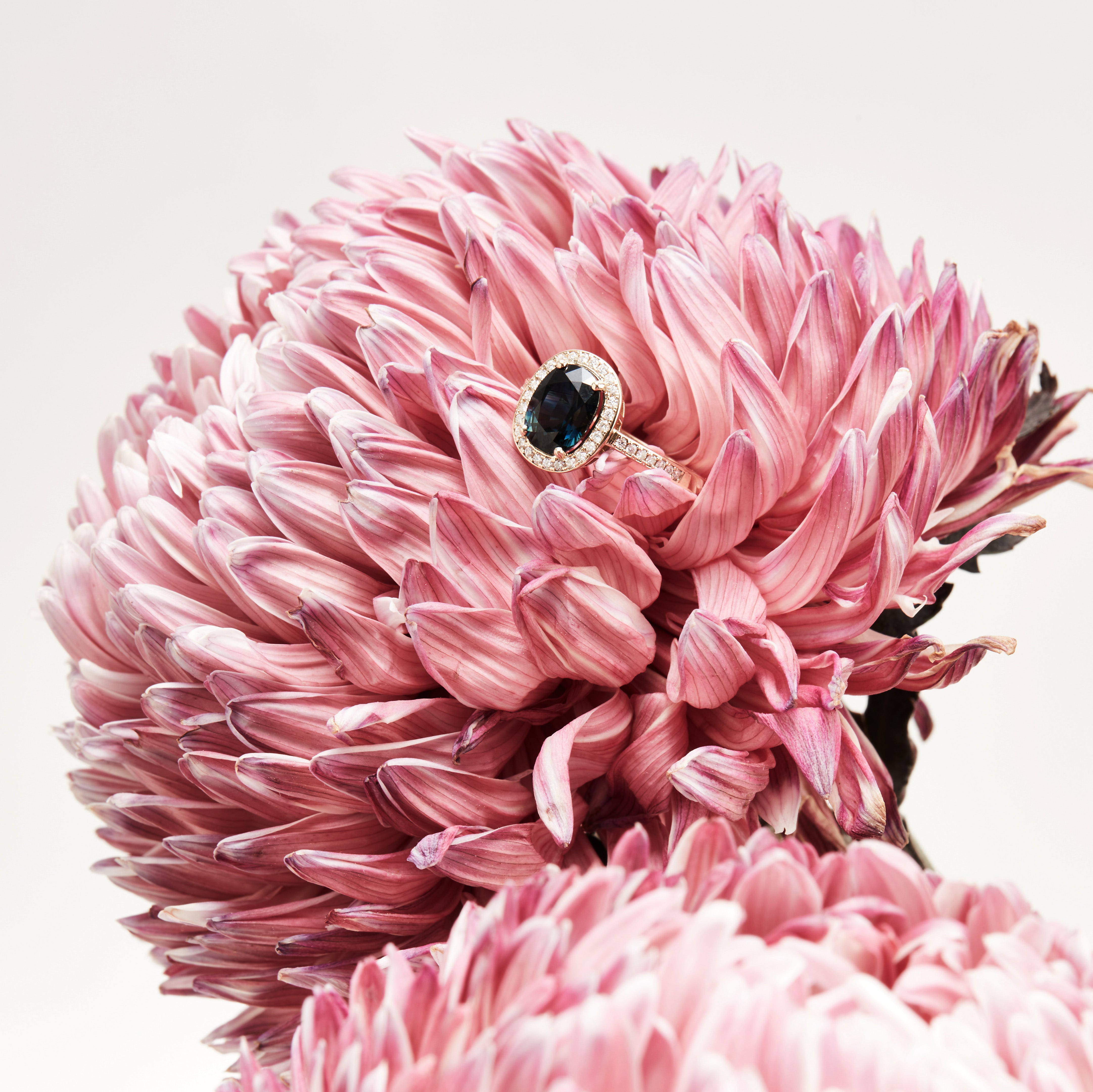 Windfall Jewellery oval halo engagement ring with sapphire center stone and diamond halo set in white gold — elegant and timeless bridal jewellery.