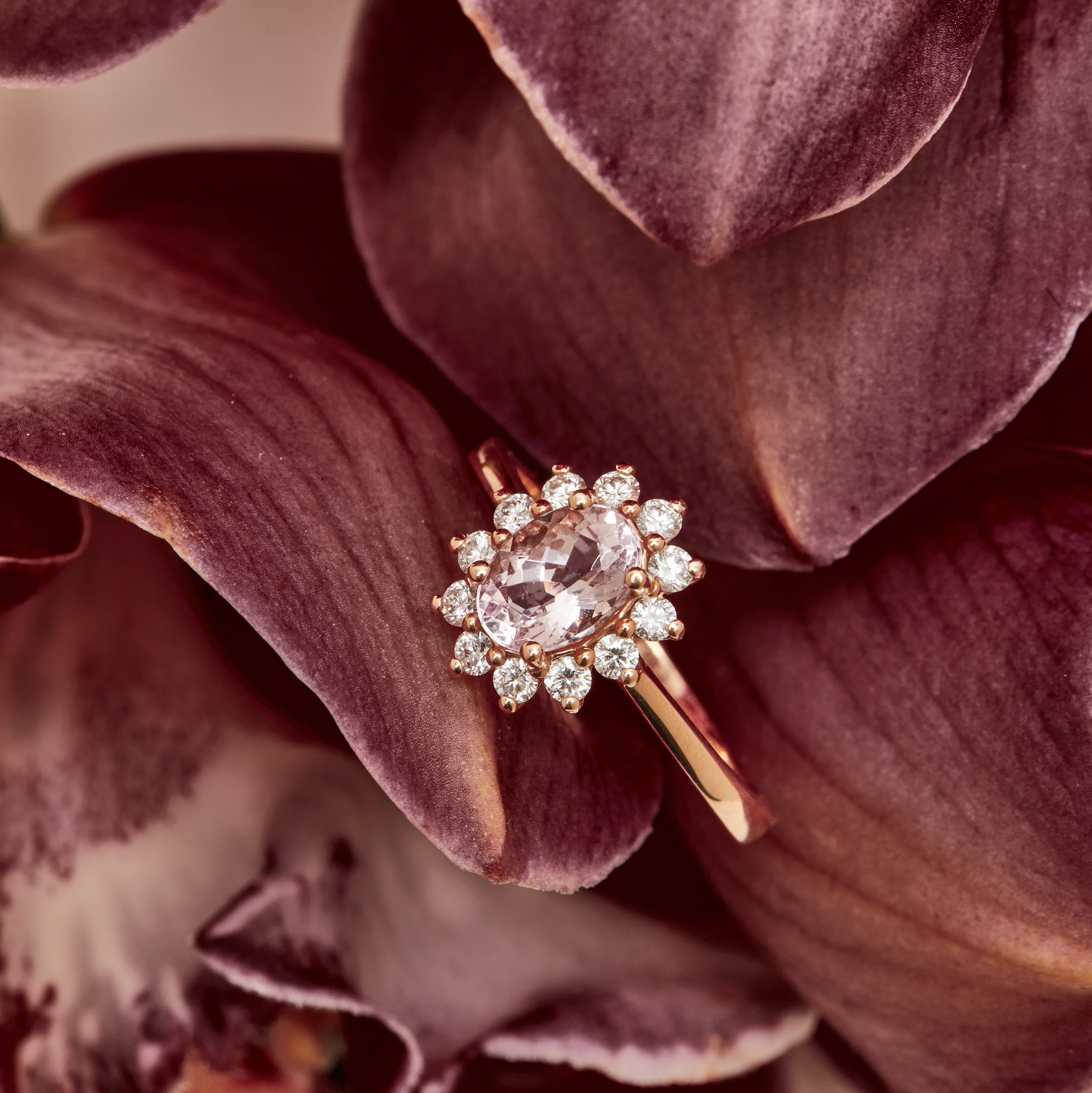 Oval floral halo diamond engagement ring in rose gold with sparkling cluster halo — classic bridal jewellery photographed on floral background.