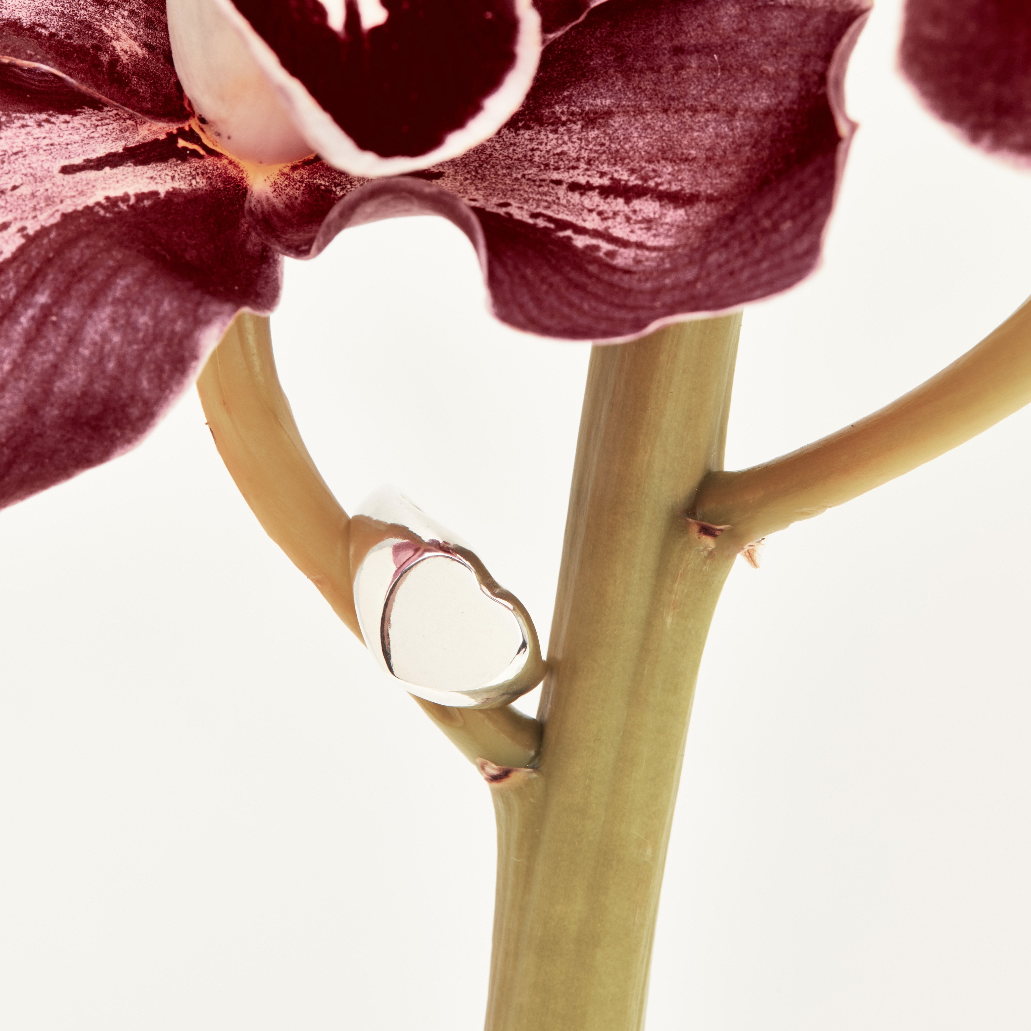 Heart Signet - Ready to Ship