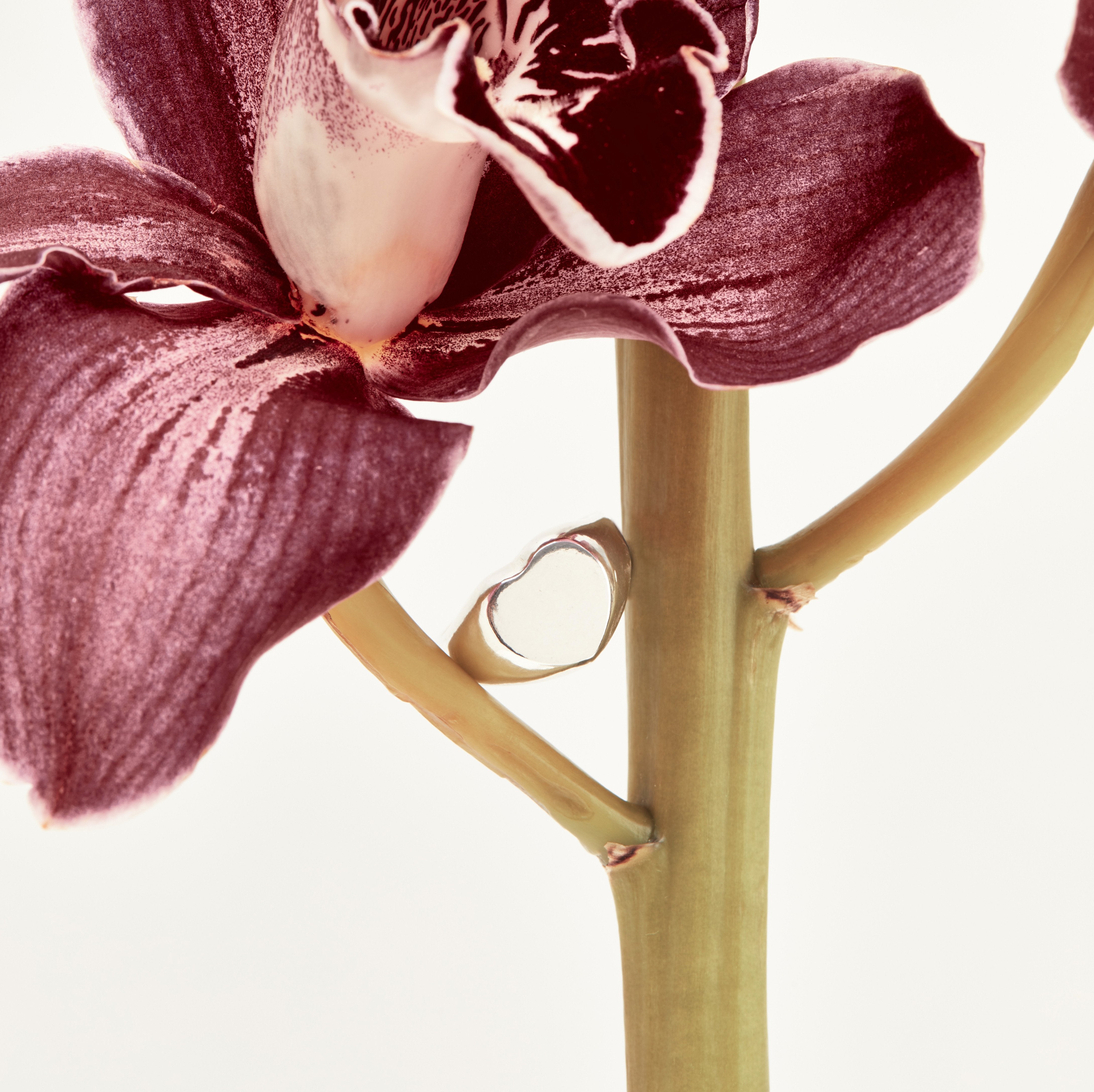 Heart Signet - Ready to Ship