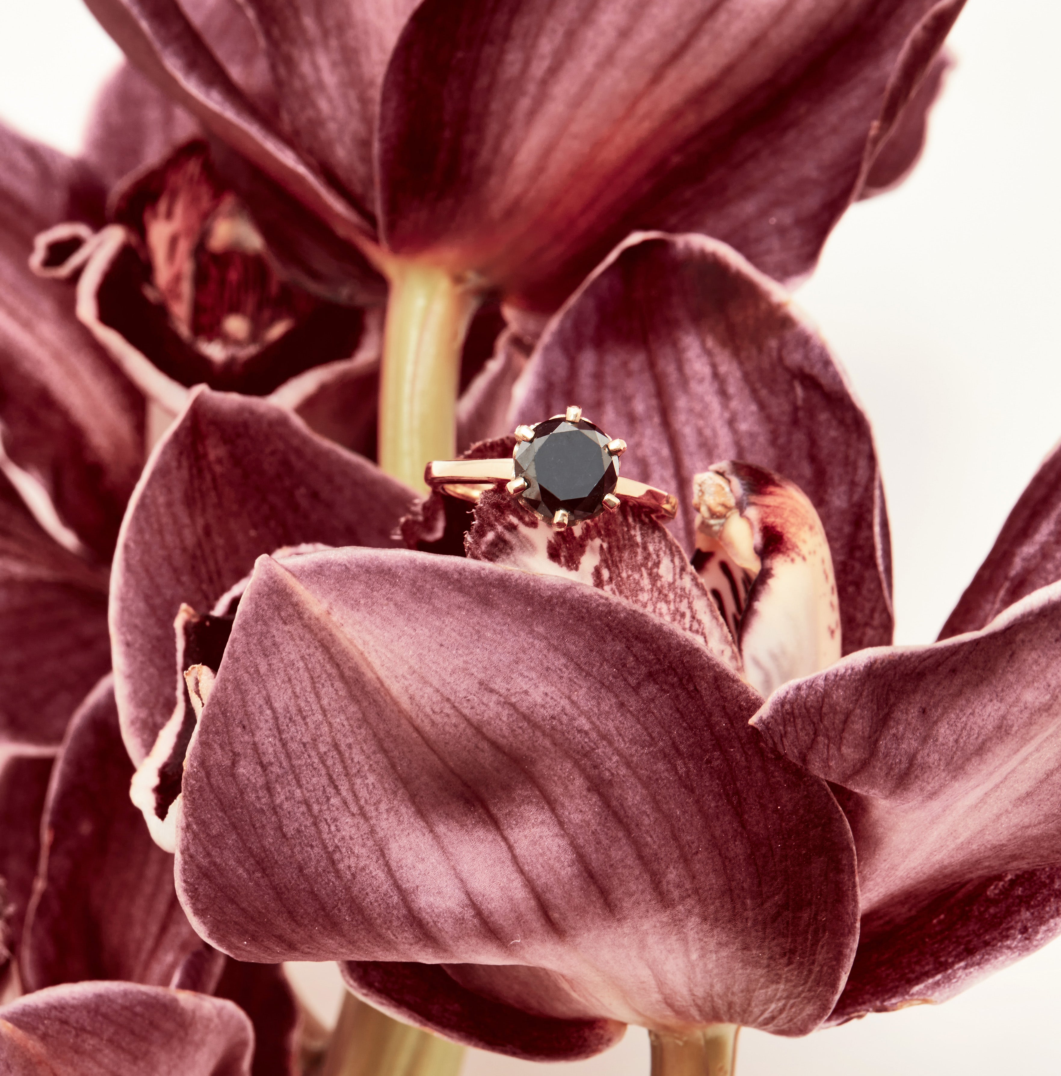 Plain Poppy Solitaire