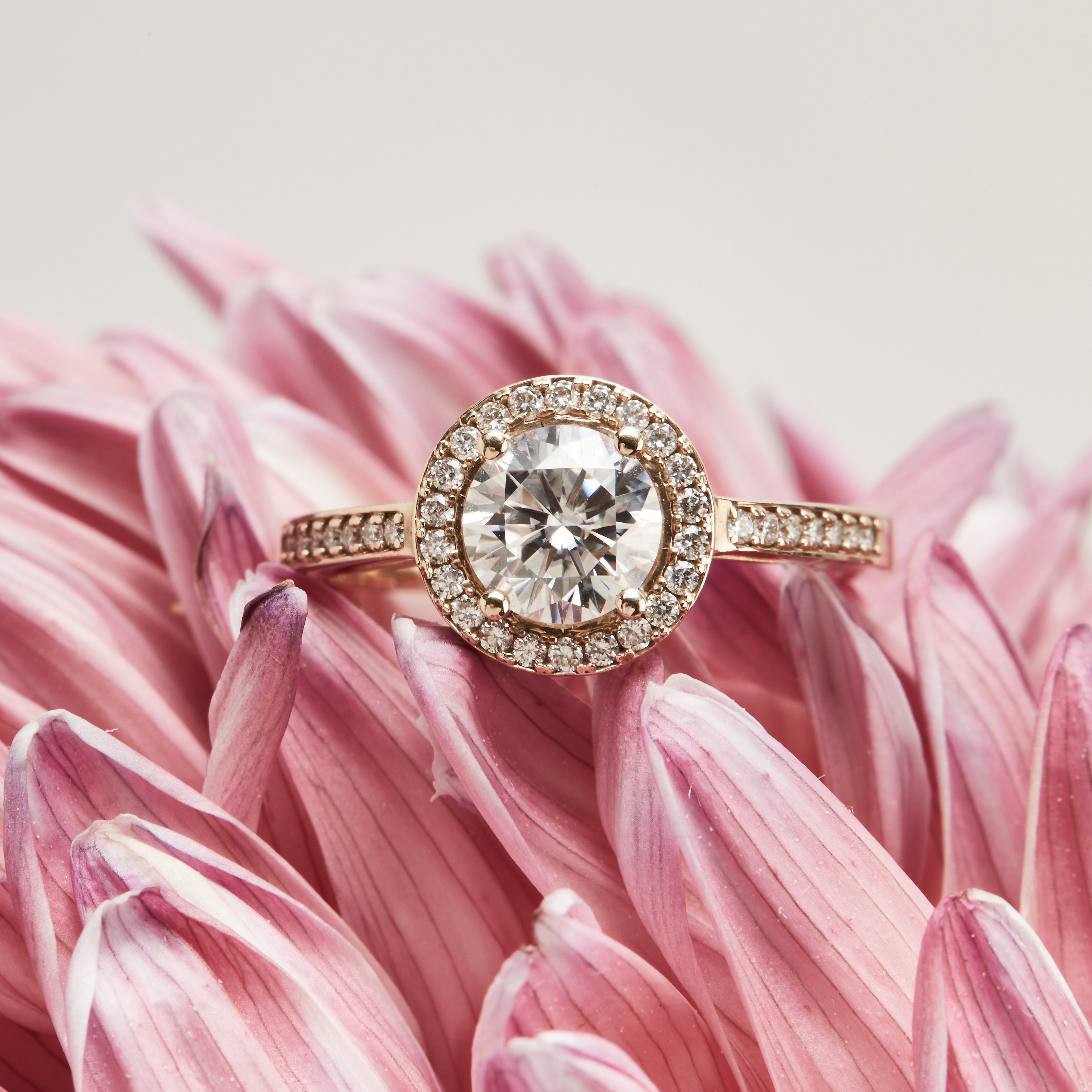 Round halo diamond engagement ring in yellow gold with a thicker pavé band, photographed on a clean floral background — elegant bridal jewelry