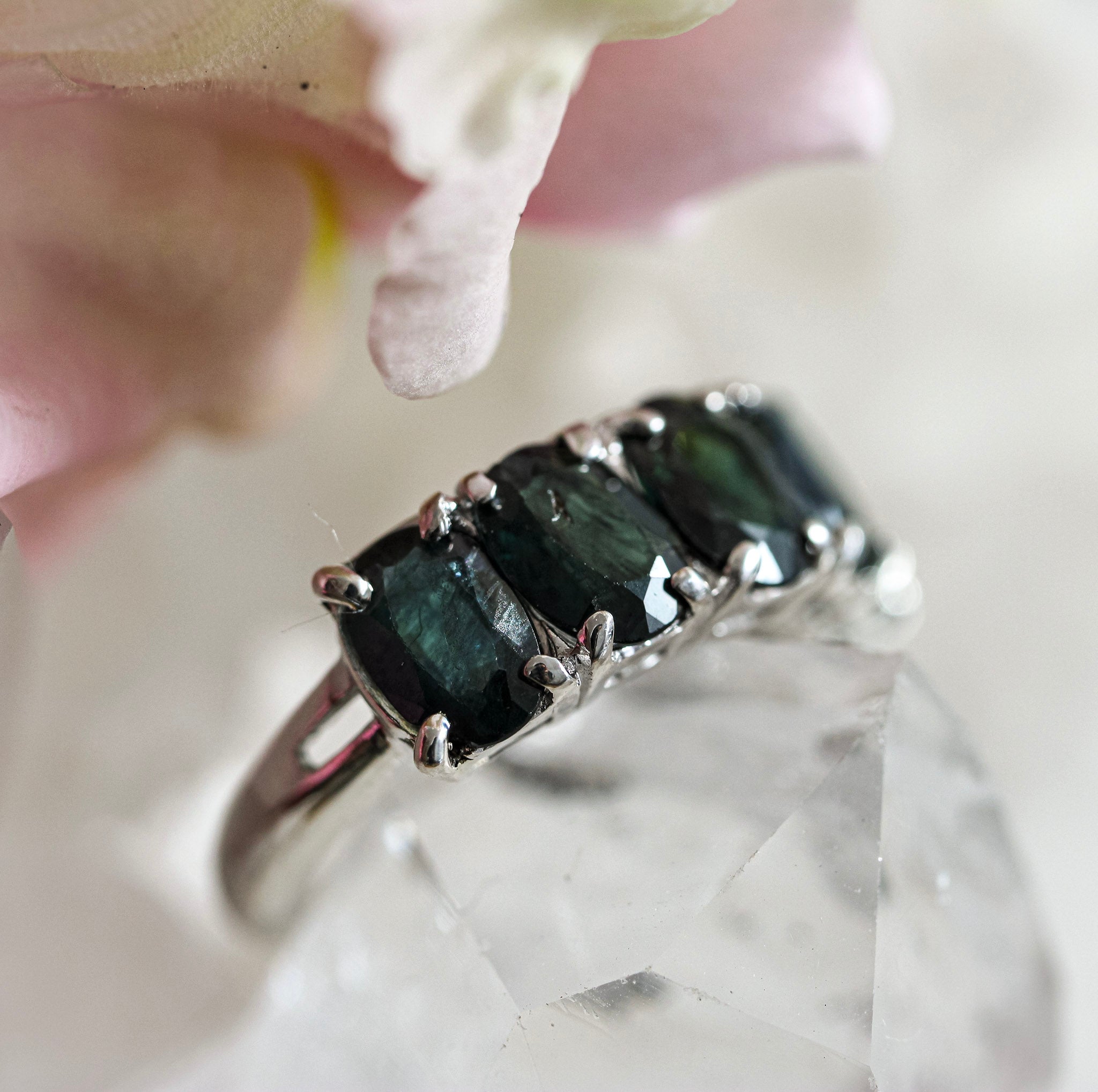 Five Sapphire Band Claw Set - Ready to Ship