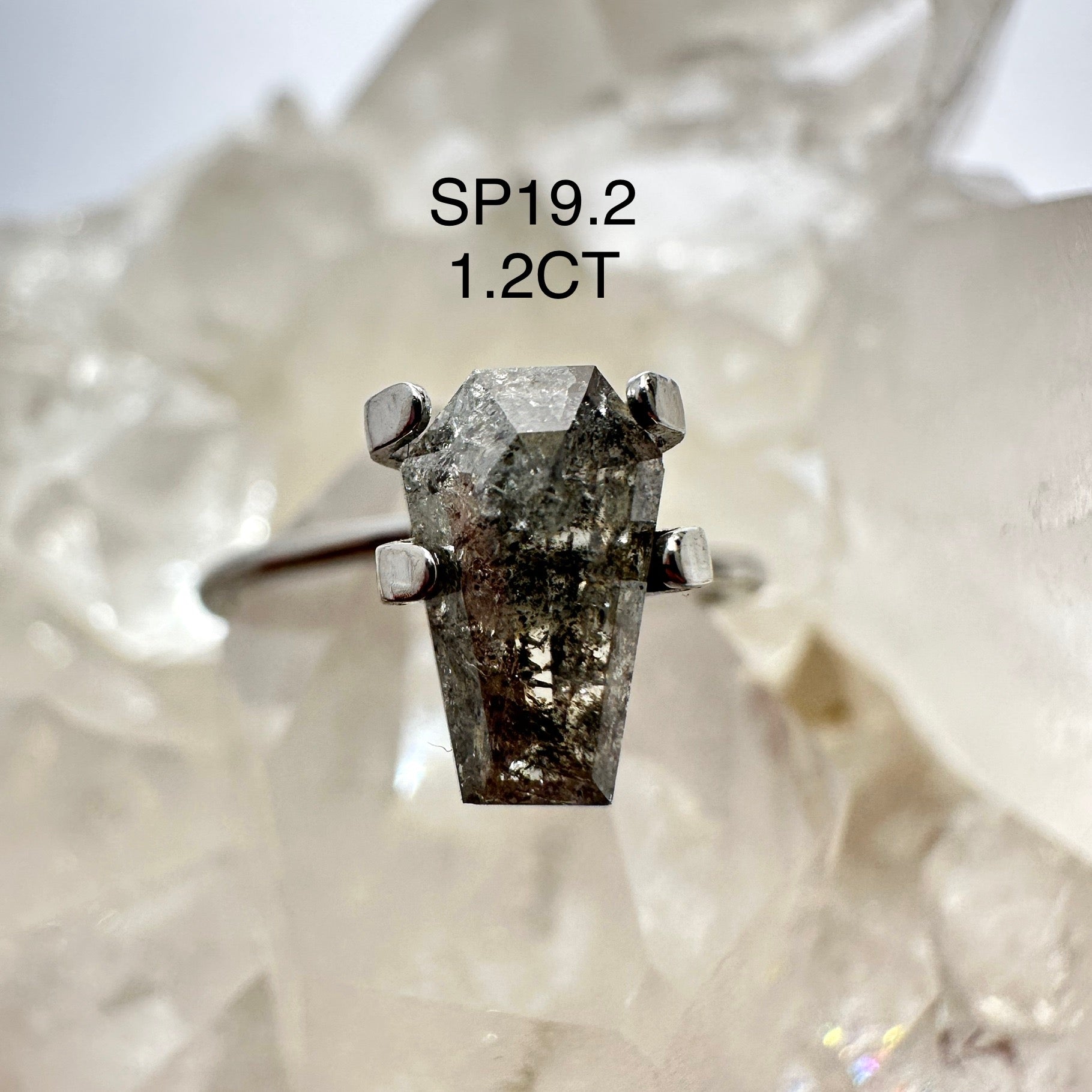 Design Your Own Custom Salt and Pepper Diamond Ring