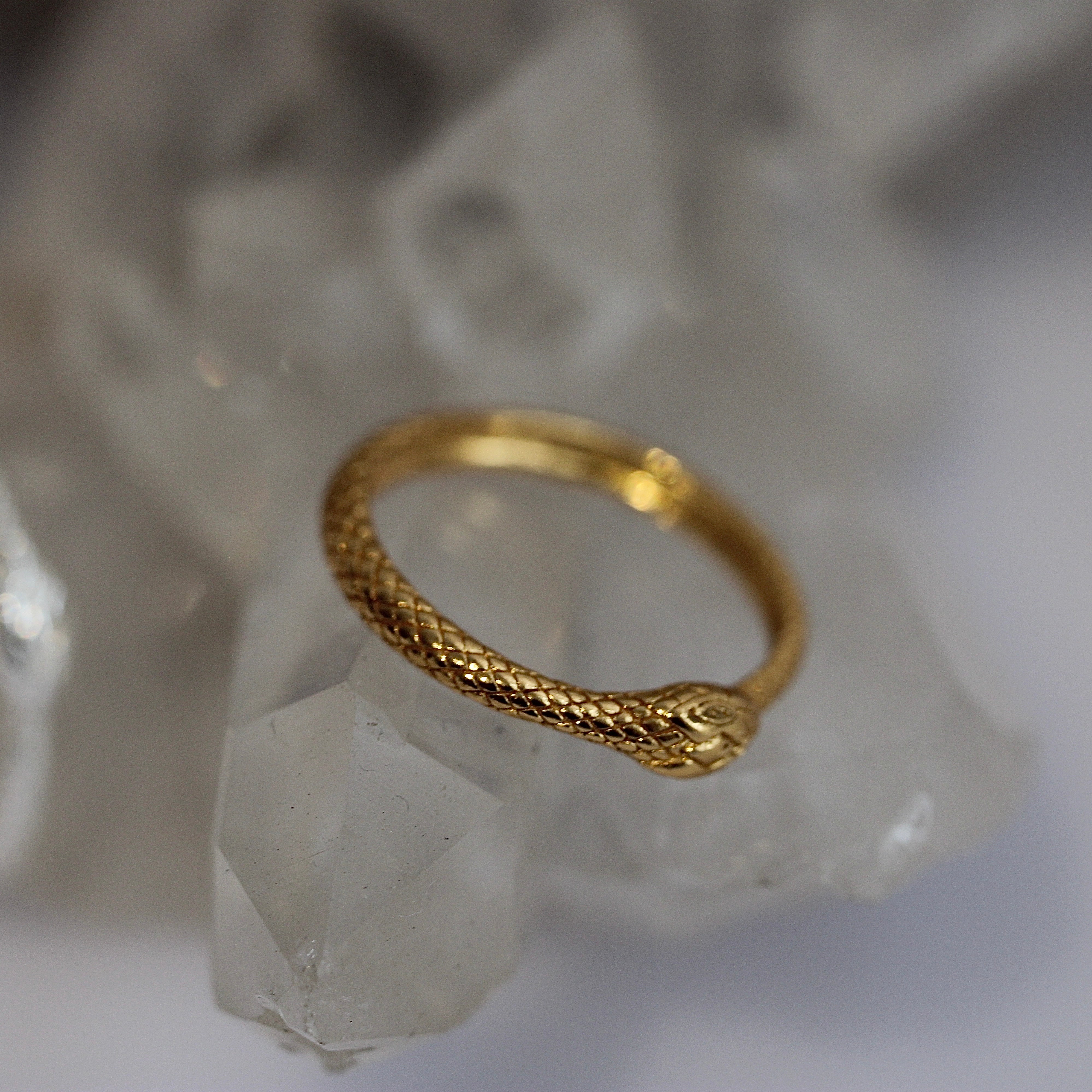 Ouroborous  Ring - Gold Plated
