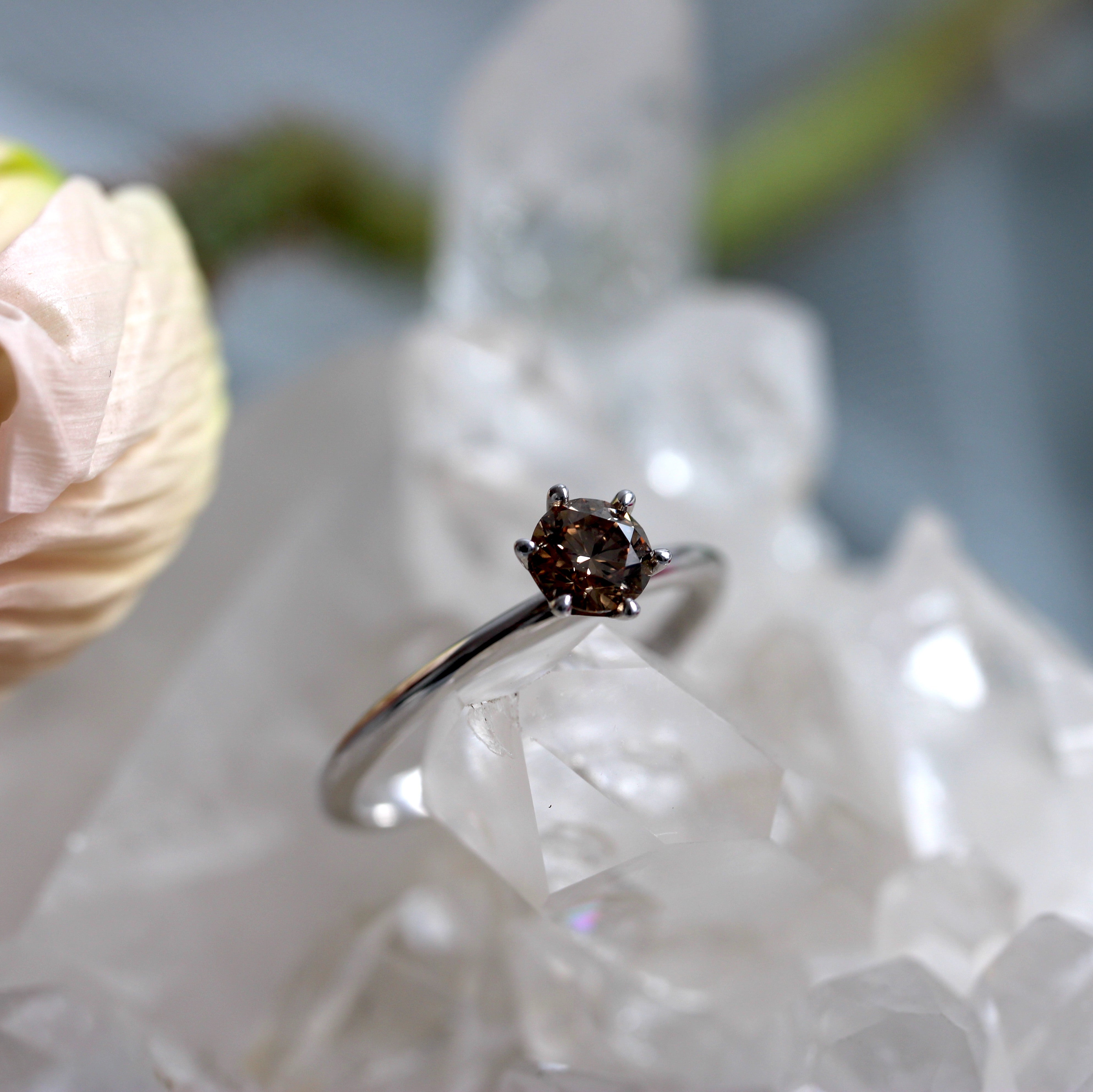 Dream Solitaire - Champagne Diamond - White Gold - Ready to Ship