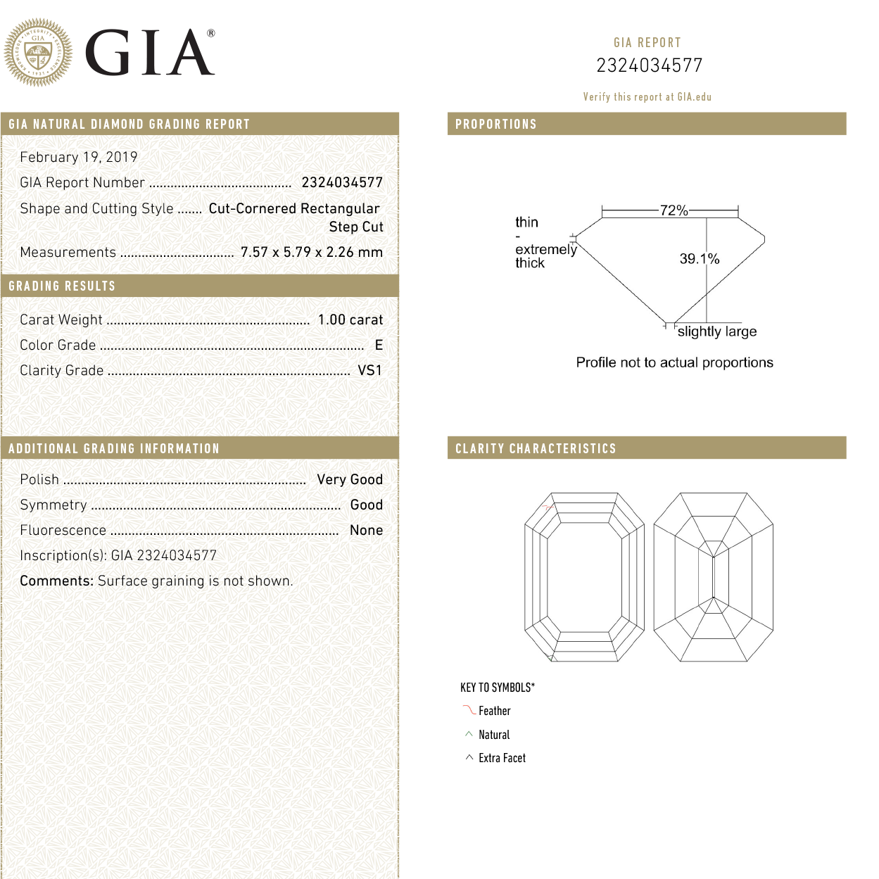 1.00ct 7.57x5.79x2.26mm GIA VS1 E Cut Corner Rectangle Step Cut 18333-01
