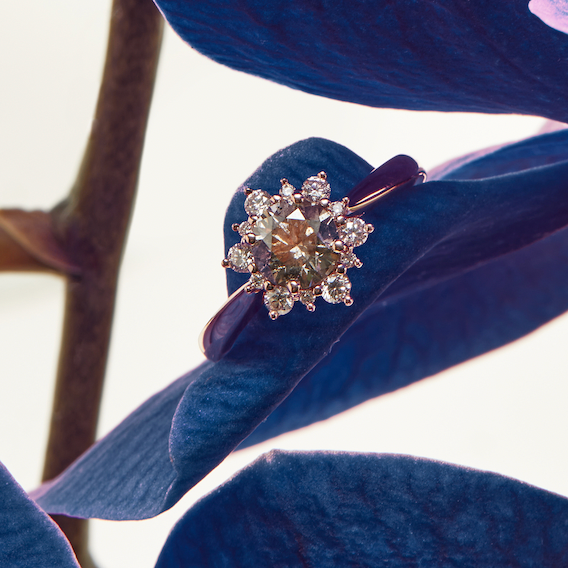 Bloom Halo