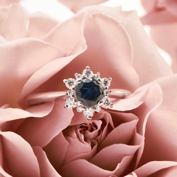 Bloom Halo