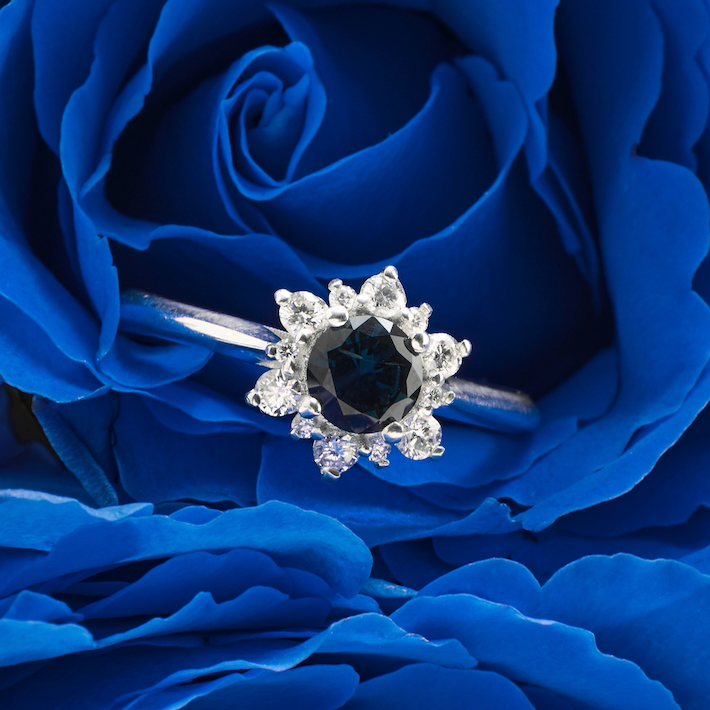 Bloom Halo