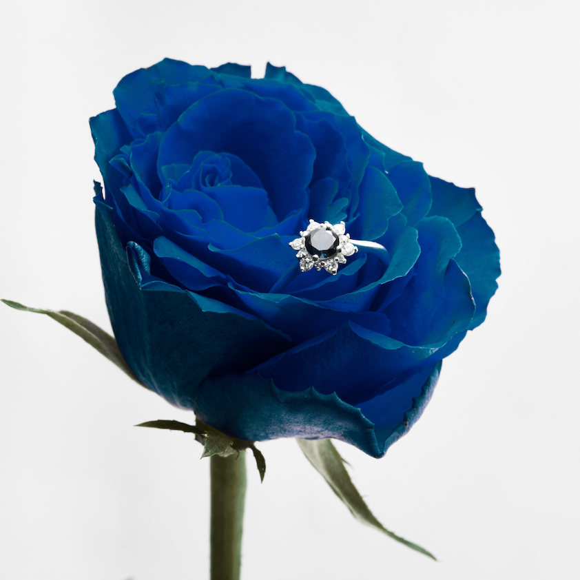 Bloom Halo