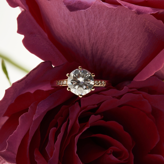 Poppy Solitaire