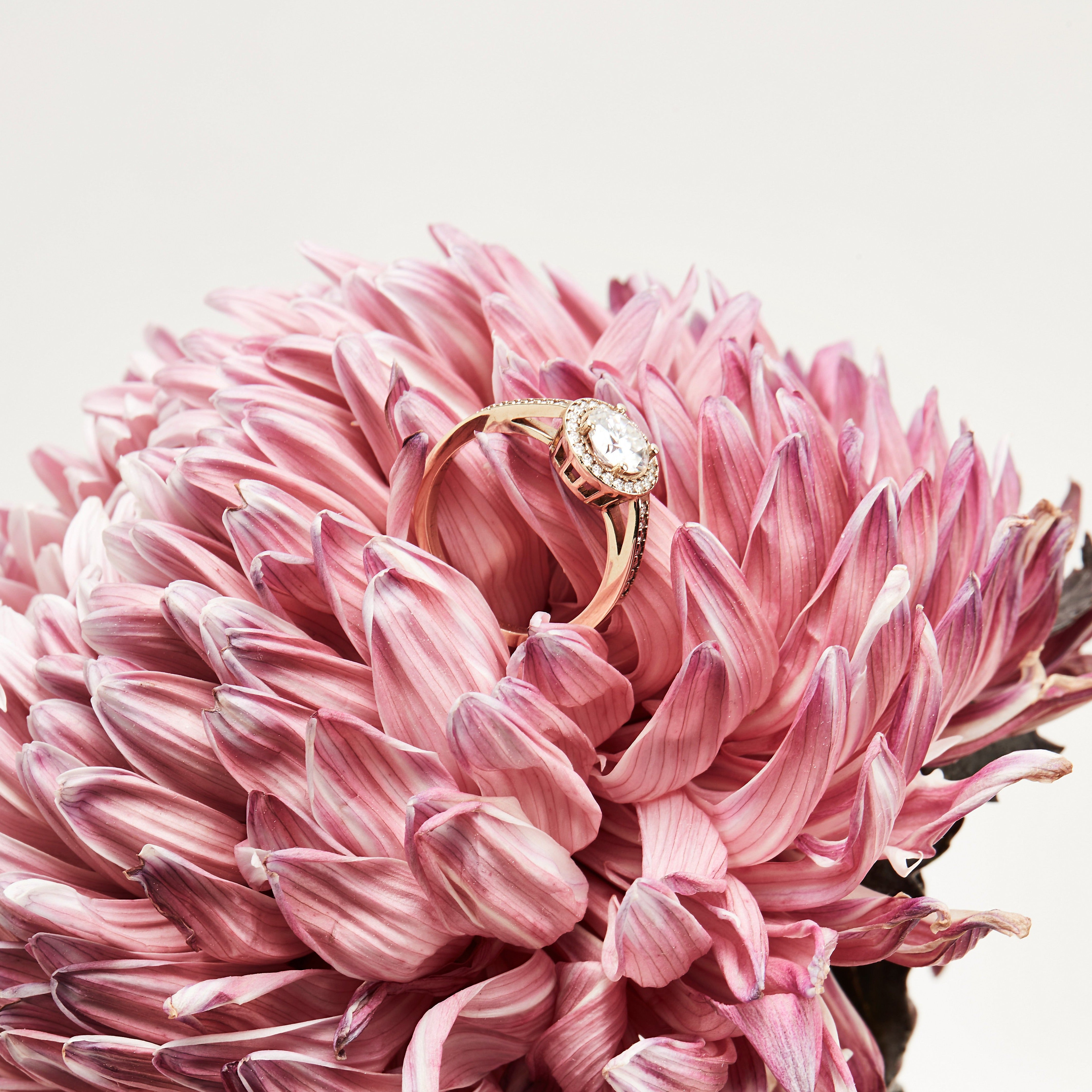 Round halo diamond engagement ring in yellow gold with a thicker pavé band, photographed on a clean white background wit flowers — elegant bridal jewelry