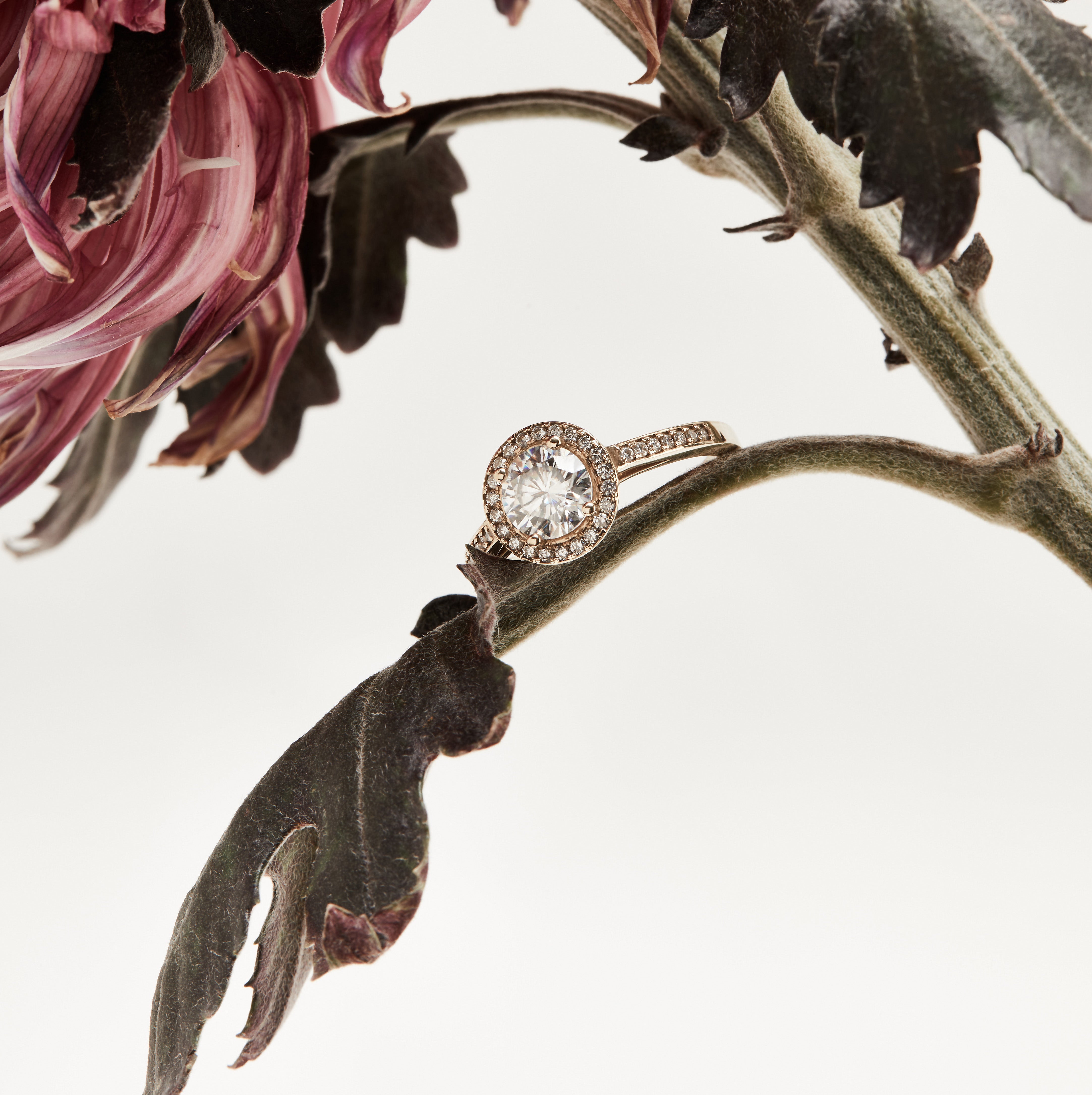 Round halo diamond engagement ring in yellow gold with a thicker pavé band, photographed on a clean white background — elegant bridal jewelry