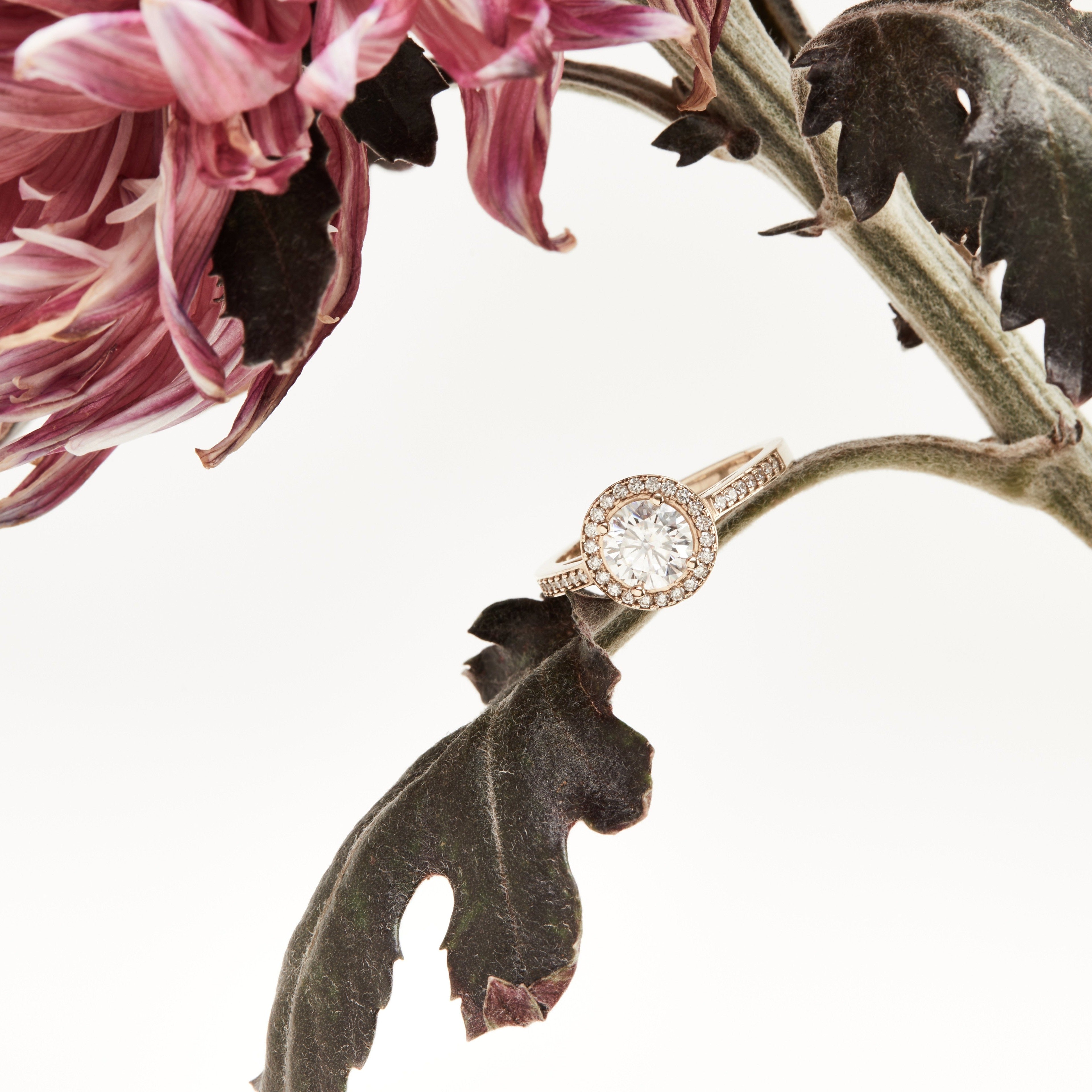 Rose gold halo diamond engagement ring with a thicker pavé band displayed floral background — romantic bridal jewellery photo