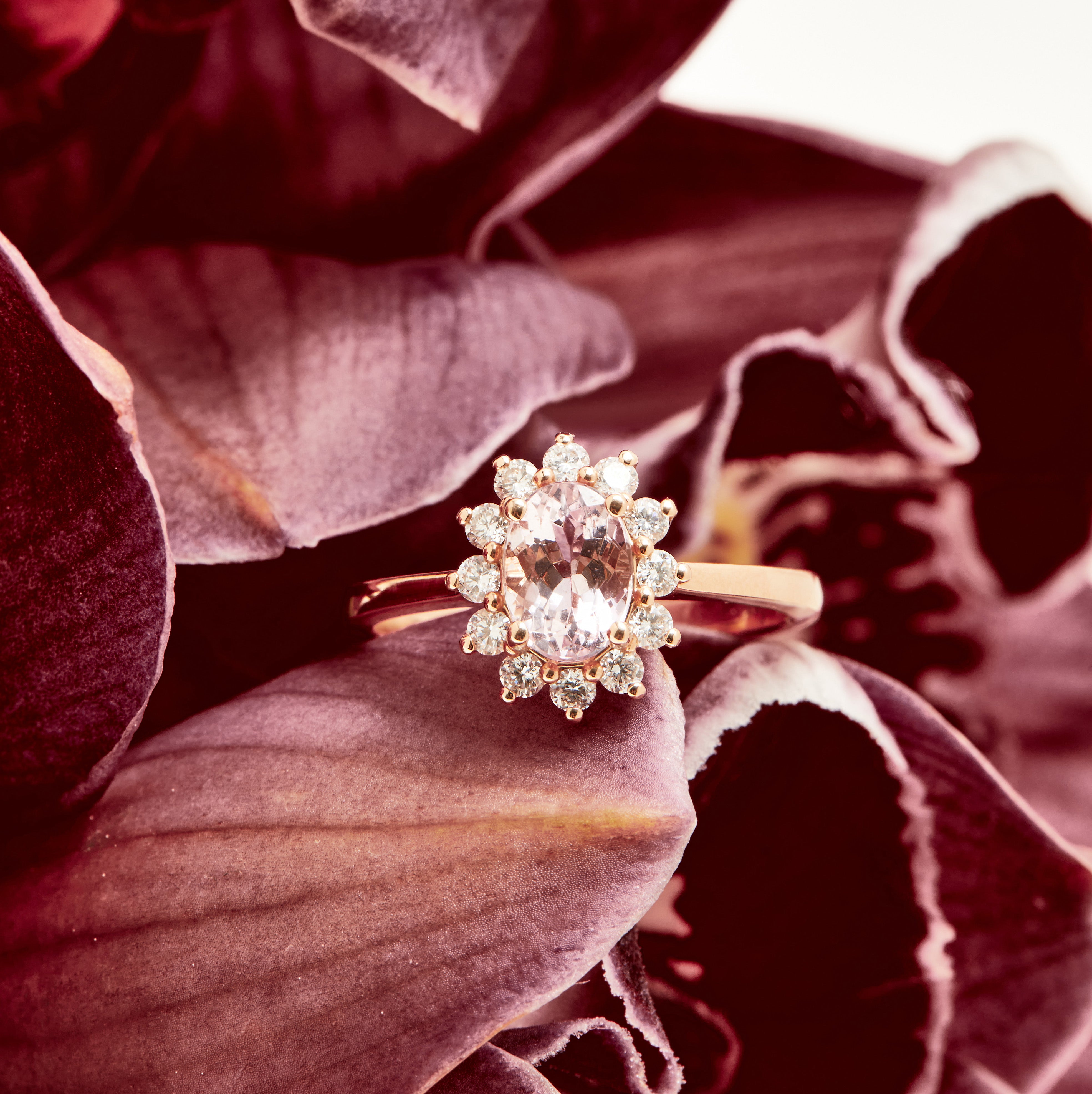 Oval floral halo diamond engagement ring in rose gold with sparkling cluster halo — classic bridal jewellery photographed on floral background.